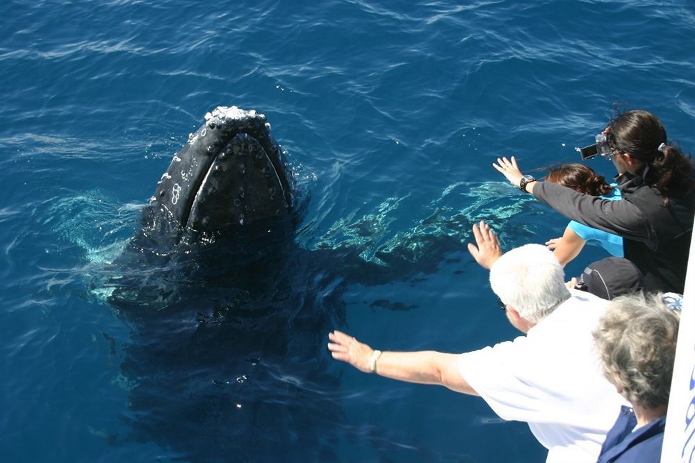 Discovery Parks - Fraser Street, Hervey Bay Bagian luar foto